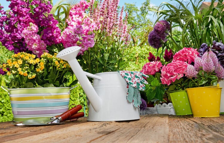 Planter, blomster og redskaber